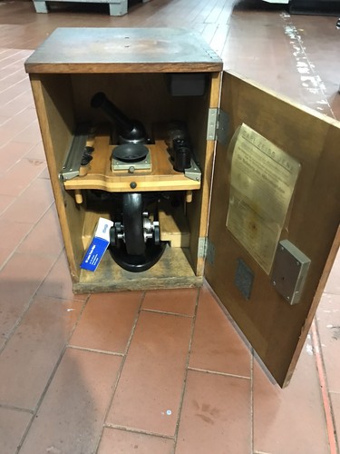 Carl zeiss jena mikroskop - zeiss, mit